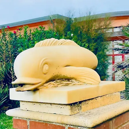Regina Del Mare Tirrenia