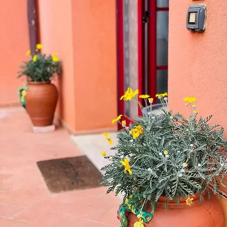 Regina Del Mare Aparthotel Tirrenia