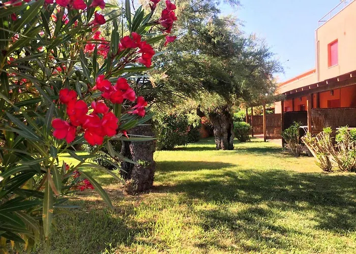 Apartmanhotel Regina Del Mare Tirrenia